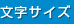 文字サイズ